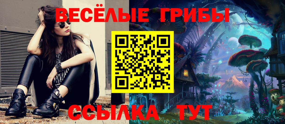 Назарово  Галлюциногенные грибы MAGIC MUSHROOMS  Псилоцибиновые грибы Psilocybine cubensis  Вход с VPN 